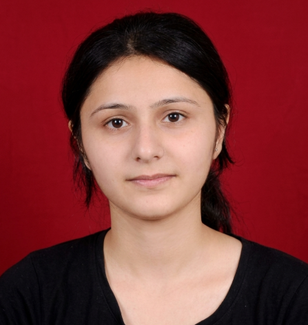 Arise International Jr. College, Bhosari