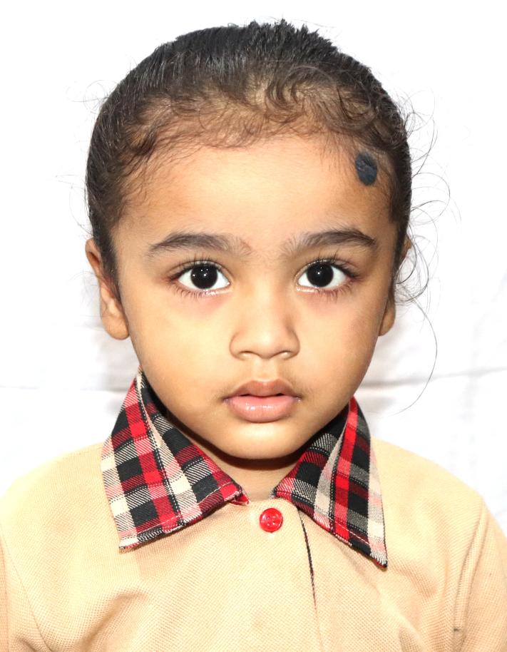 Best School in Dindoli