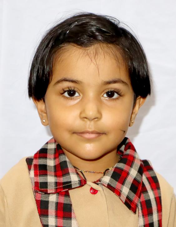 Best School in Dindoli