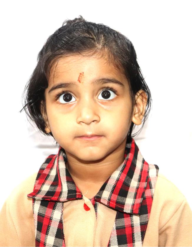 Best School in Dindoli