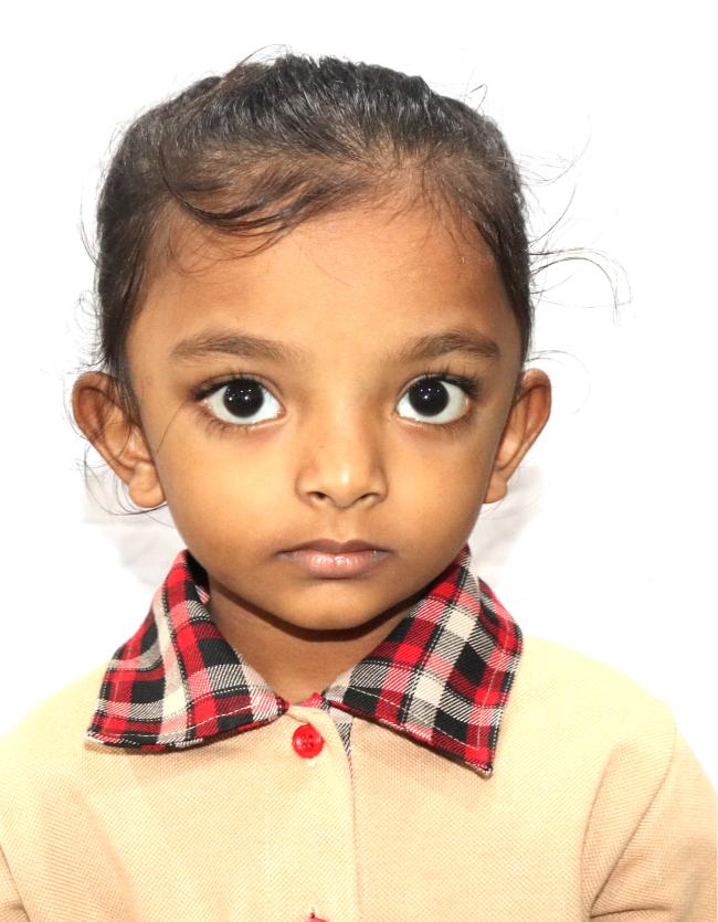 Best School in Dindoli
