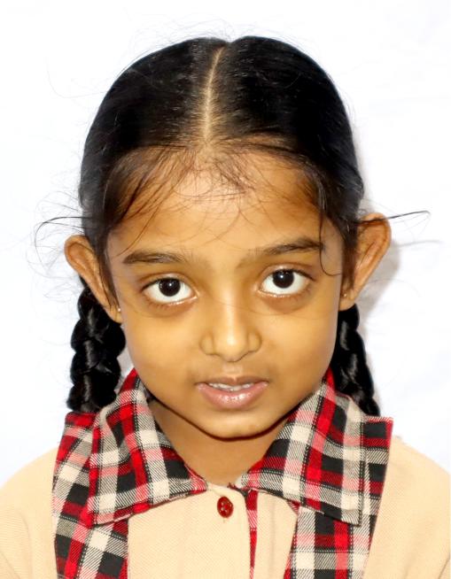 Best School in Dindoli