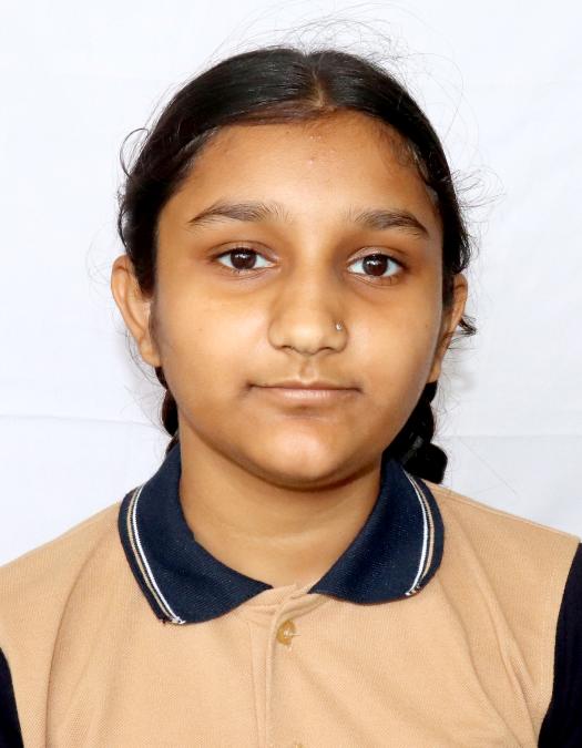 Best School in Dindoli