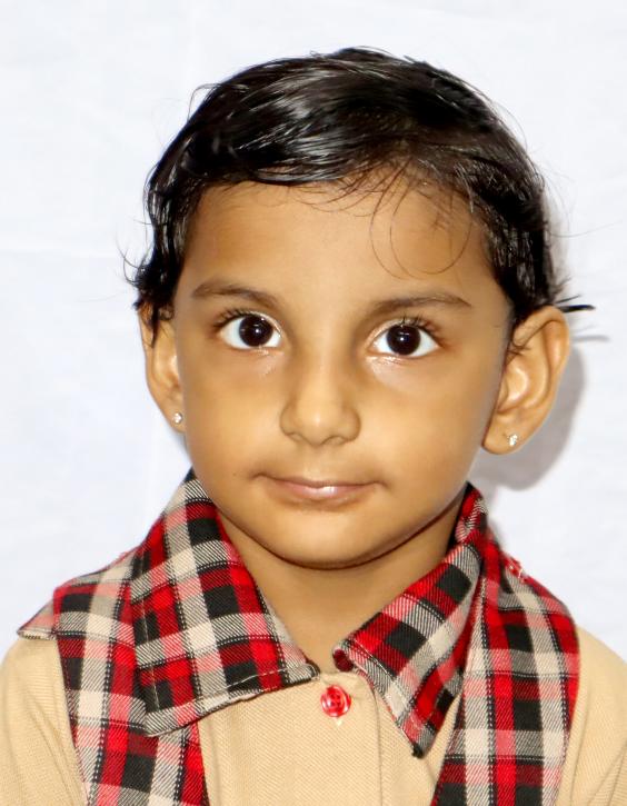 Best School in Dindoli