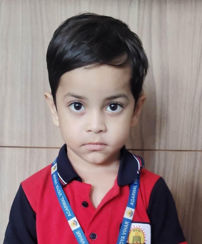 Best School in Dindoli