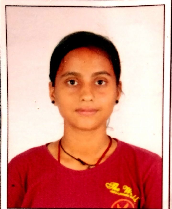 Best School in Dindoli