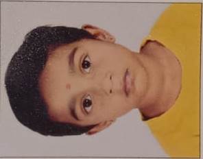 Best School in Dindoli