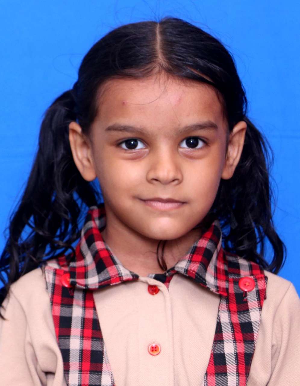 Best School in Dindoli