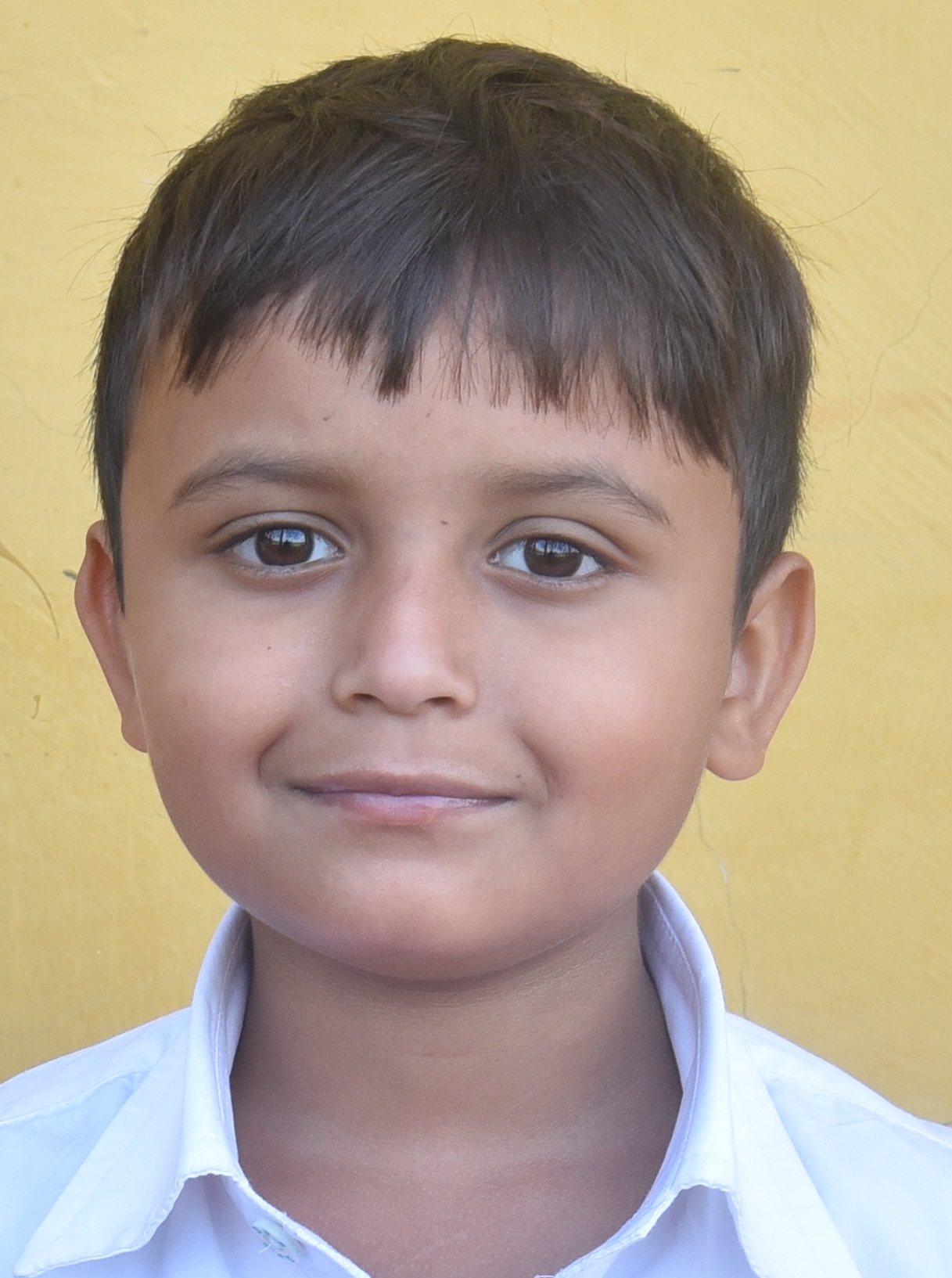 Dps Prayagraj