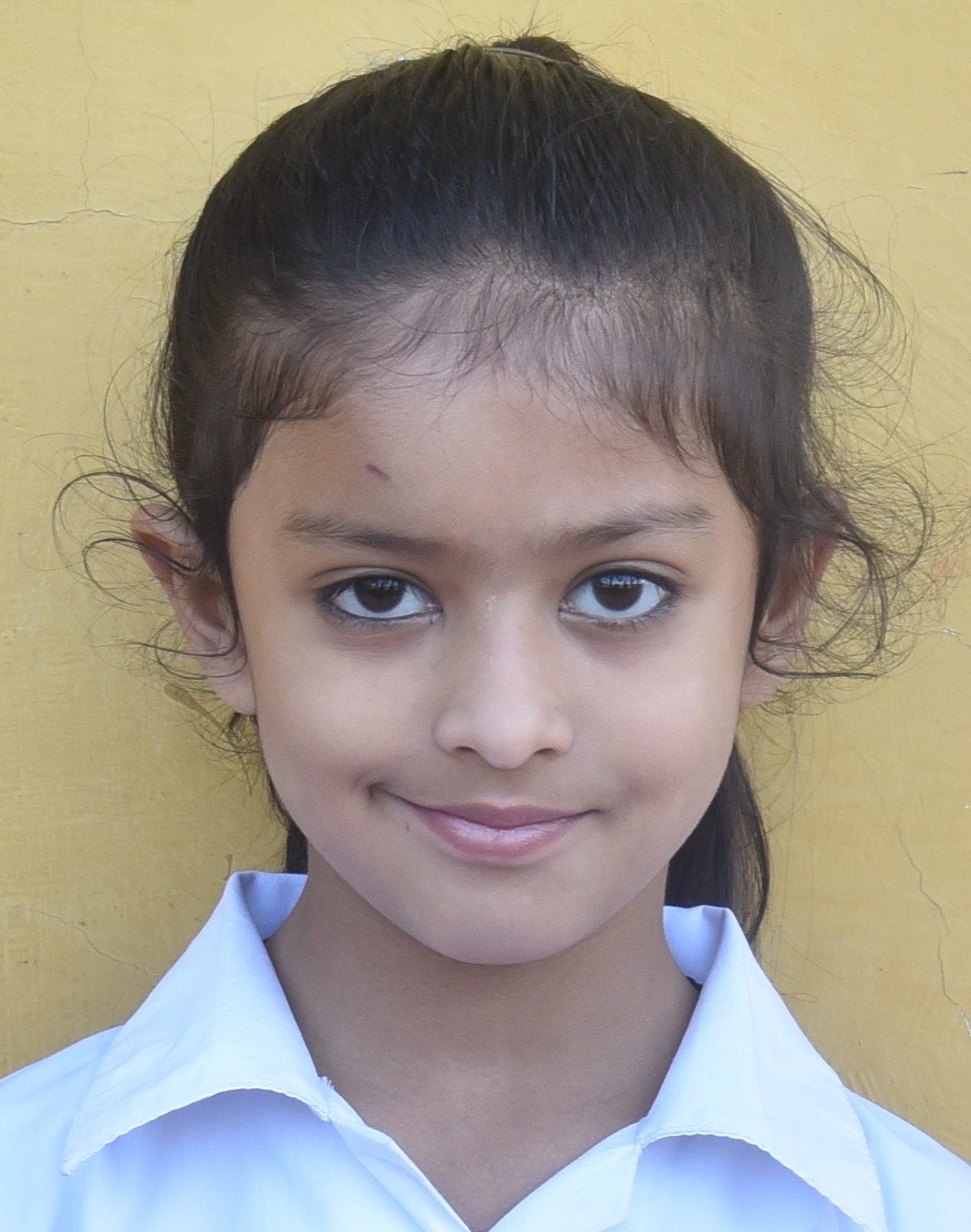 Dps Prayagraj