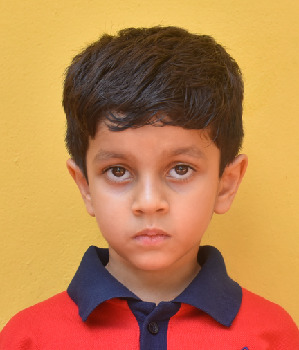Dps Prayagraj