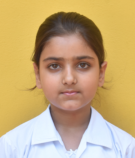Dps Prayagraj