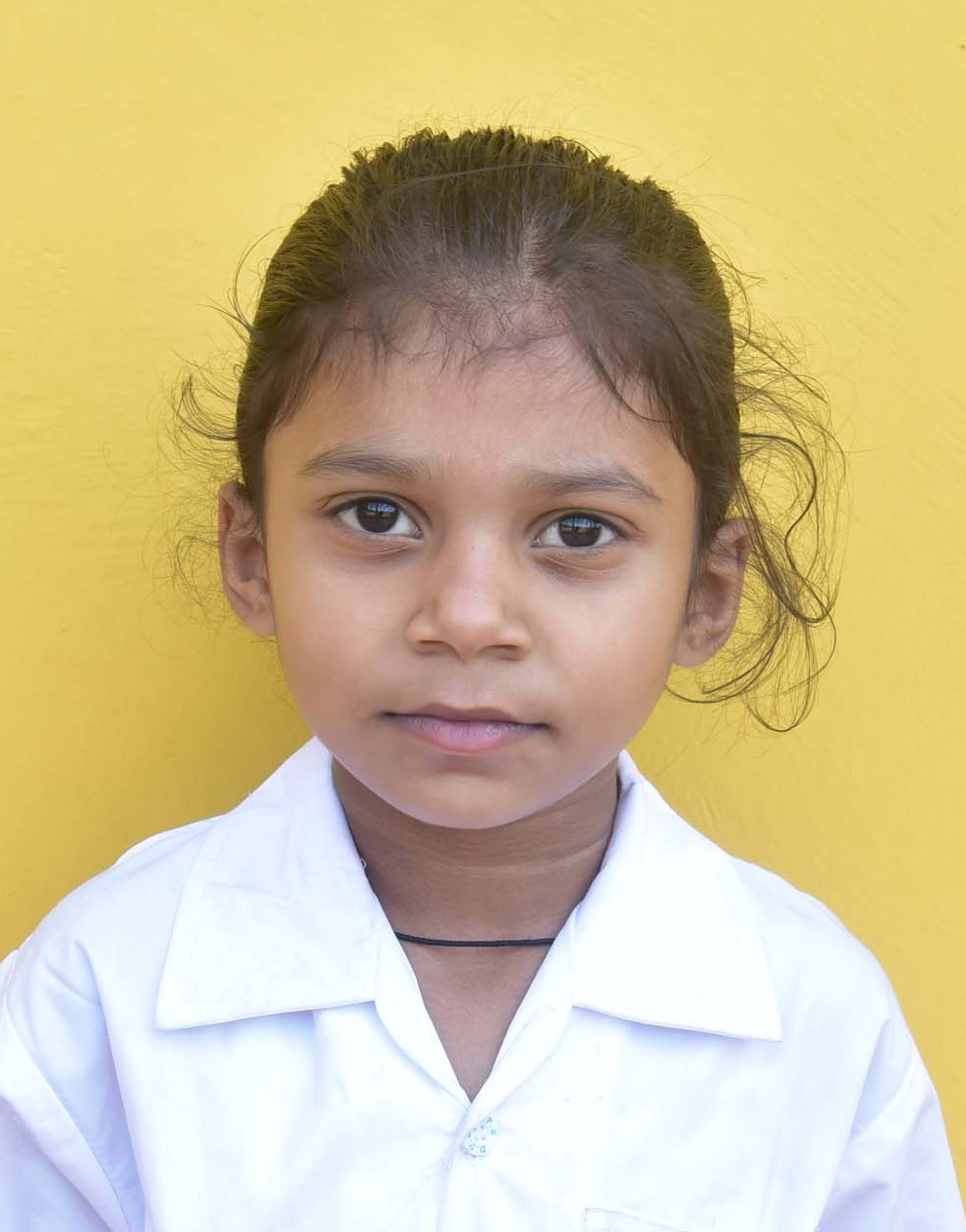 Dps Prayagraj