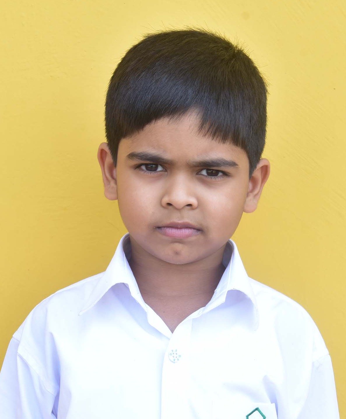 Dps Prayagraj