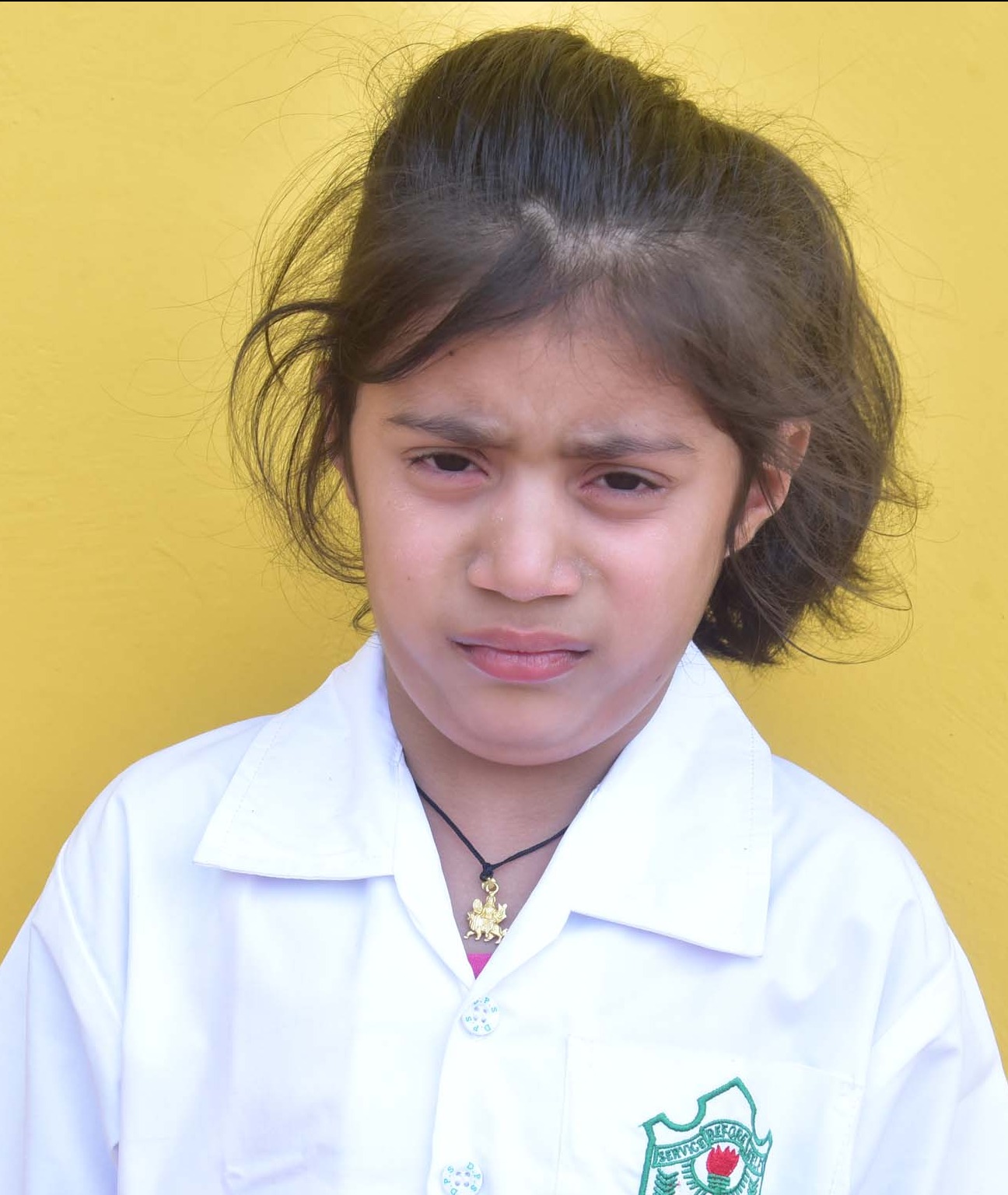 Dps Prayagraj
