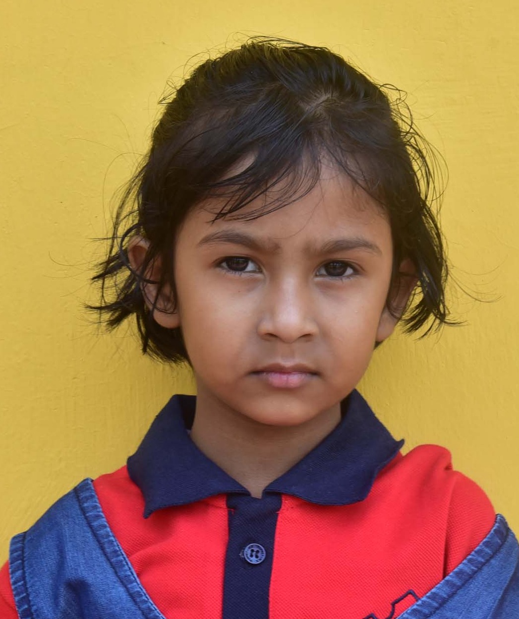 Dps Prayagraj