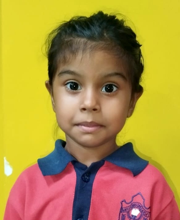 Dps Prayagraj