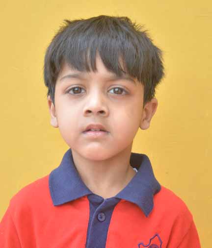Dps Prayagraj