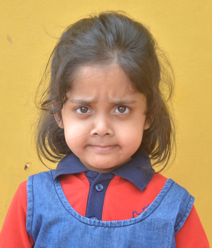Dps Prayagraj