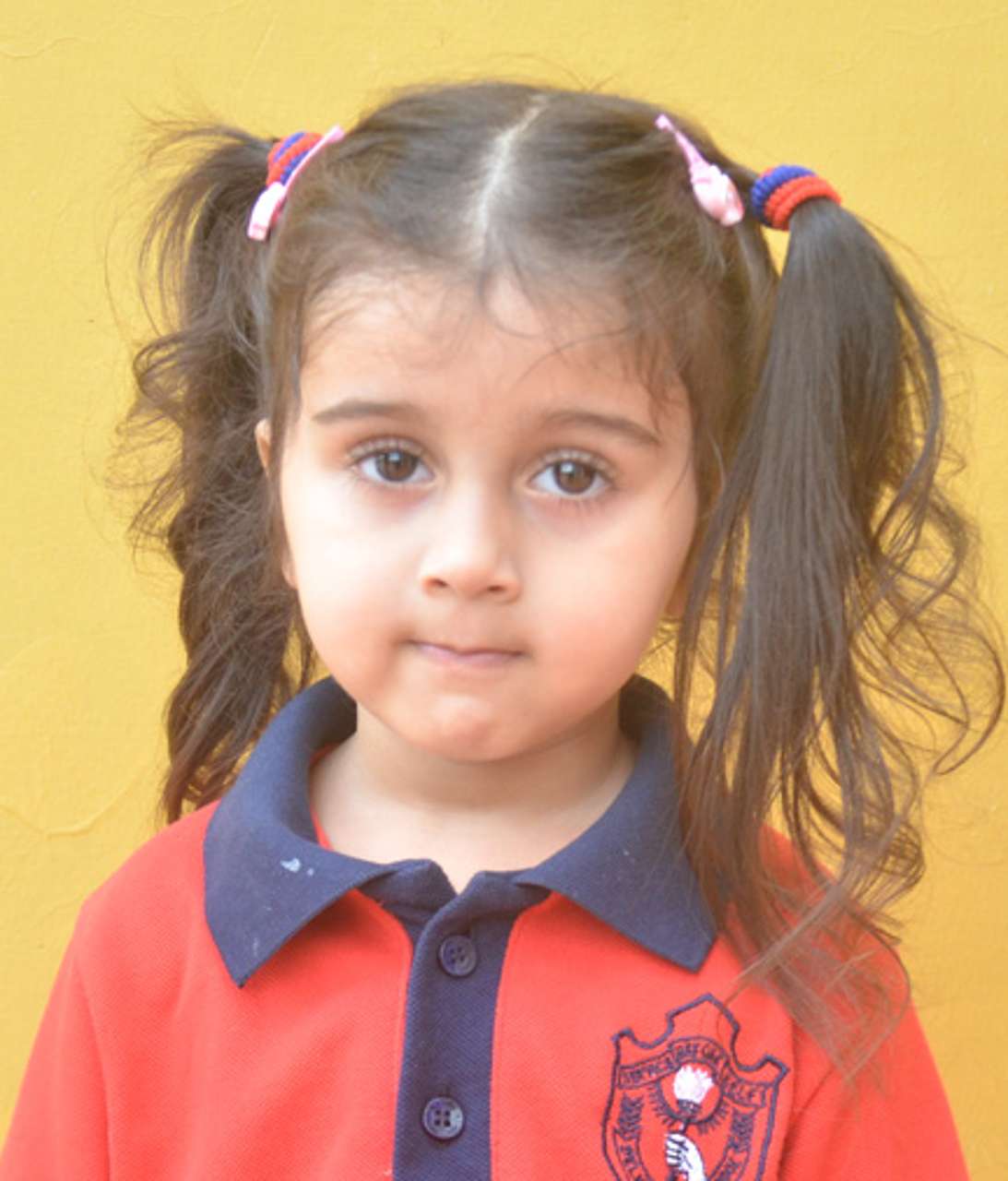Dps Prayagraj