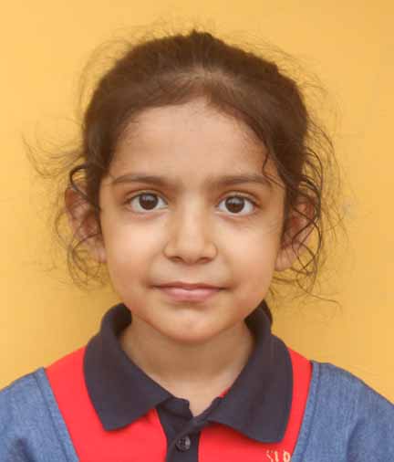 Dps Prayagraj