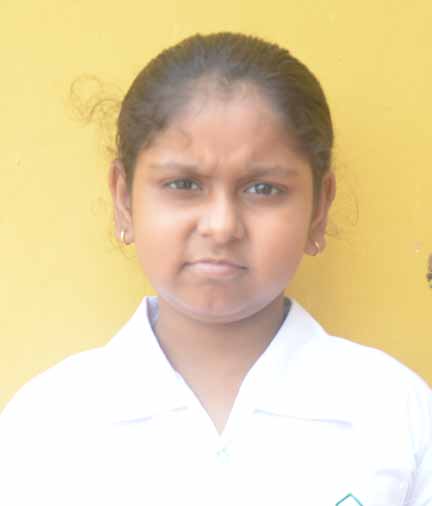 Dps Prayagraj