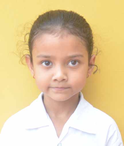 Dps Prayagraj
