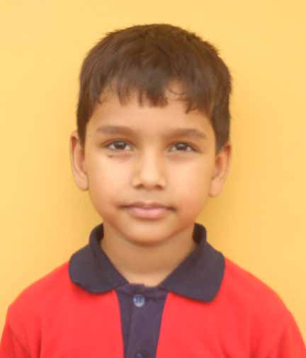 Dps Prayagraj