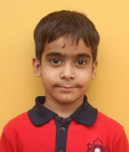 Dps Prayagraj
