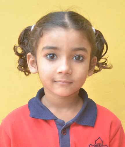Dps Prayagraj