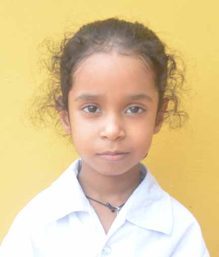 Dps Prayagraj