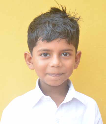 Dps Prayagraj
