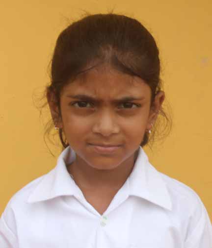 Dps Prayagraj