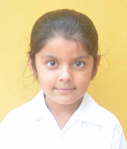 Dps Prayagraj