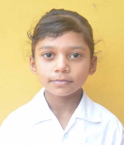 Dps Prayagraj