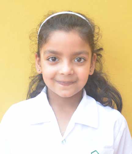 Dps Prayagraj
