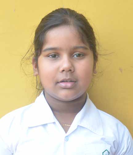 Dps Prayagraj