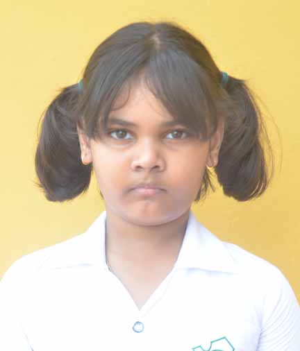 Dps Prayagraj