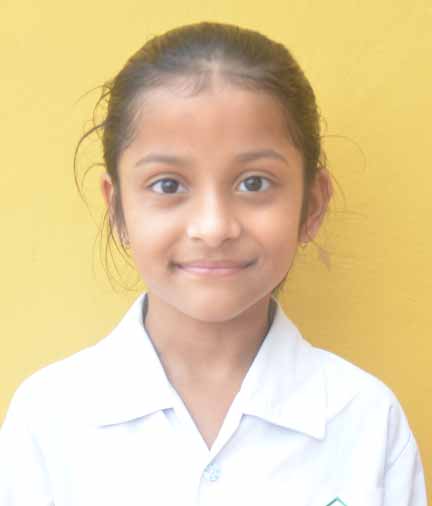 Dps Prayagraj