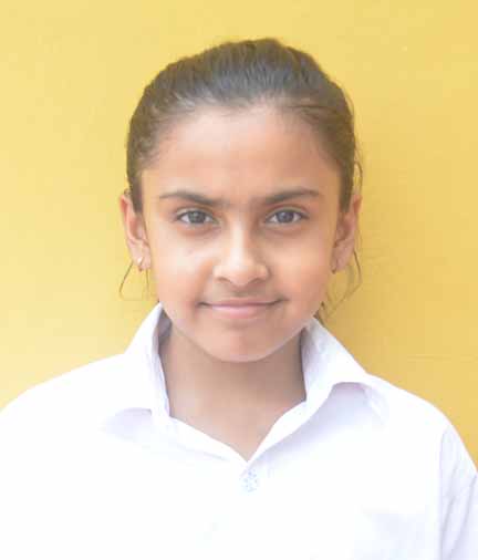 Dps Prayagraj