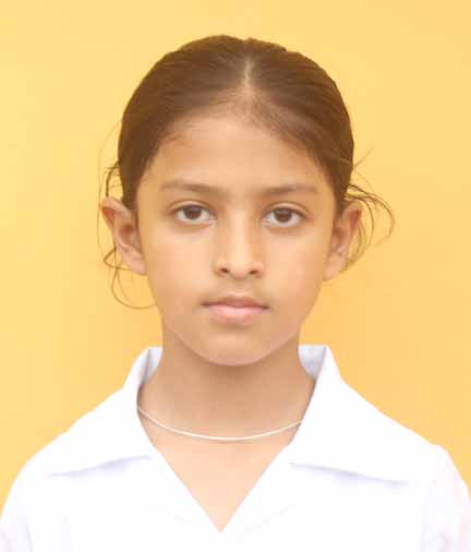 Dps Prayagraj