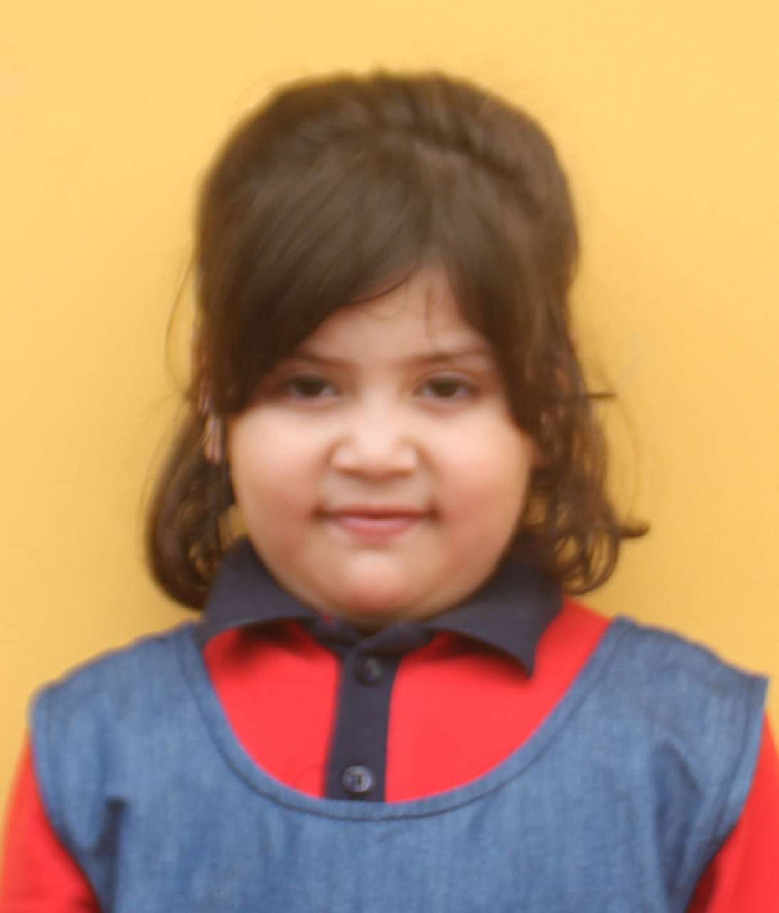 Dps Prayagraj