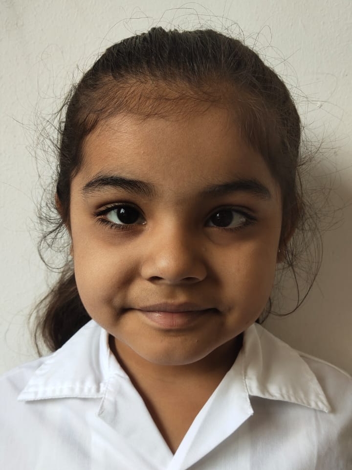 Delhi Public School Anand