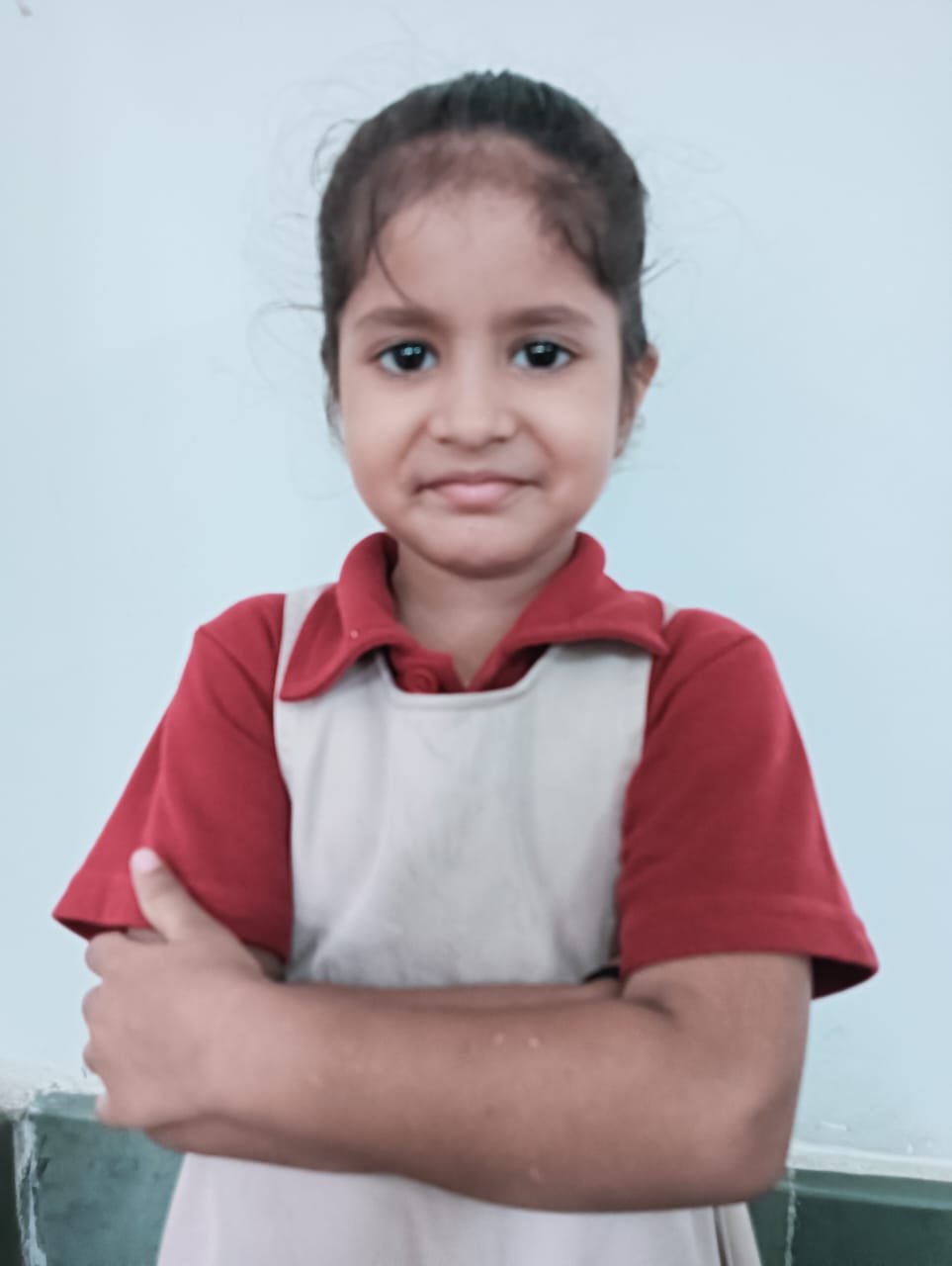 Delhi Public School Anand