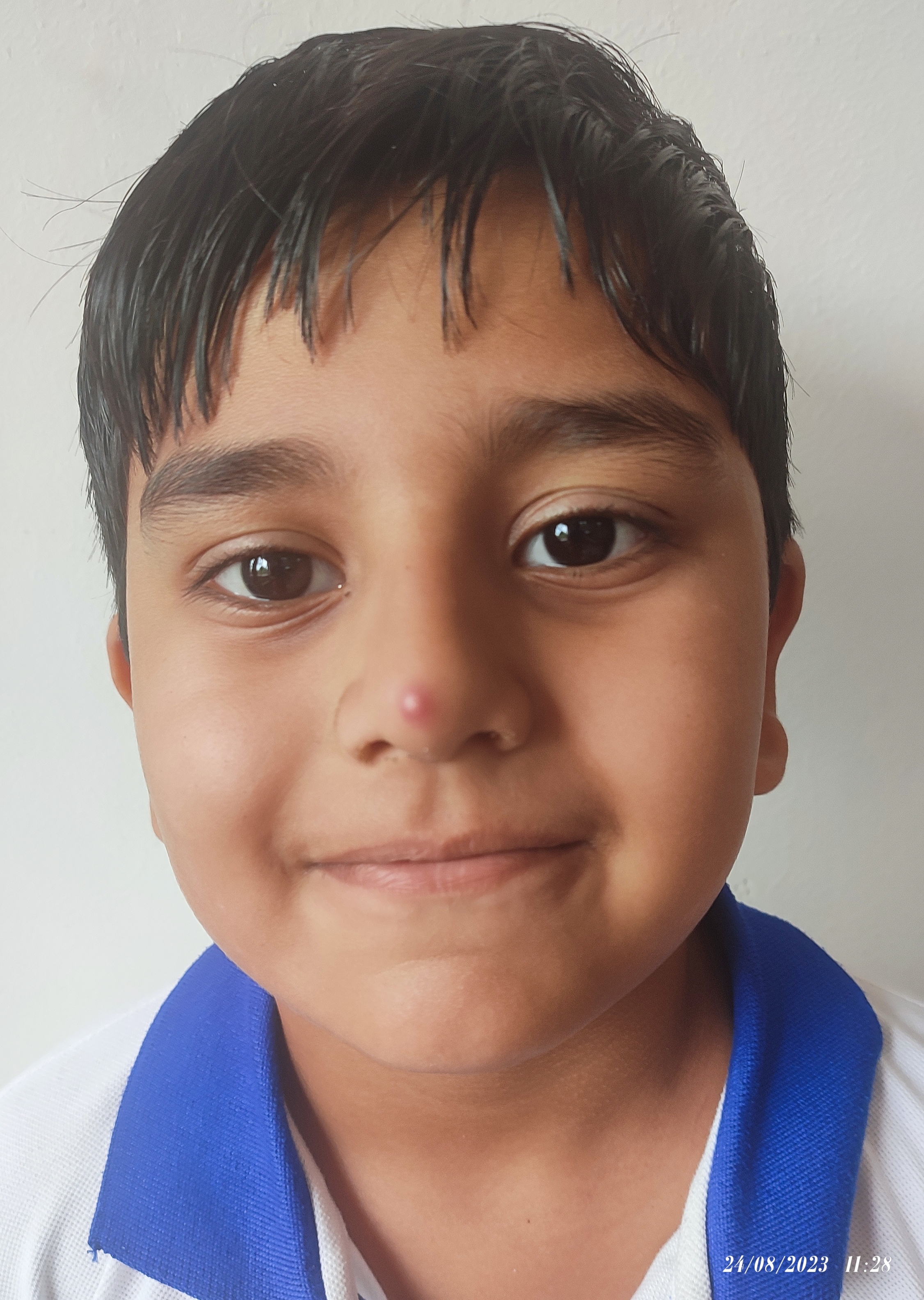 Delhi Public School Anand
