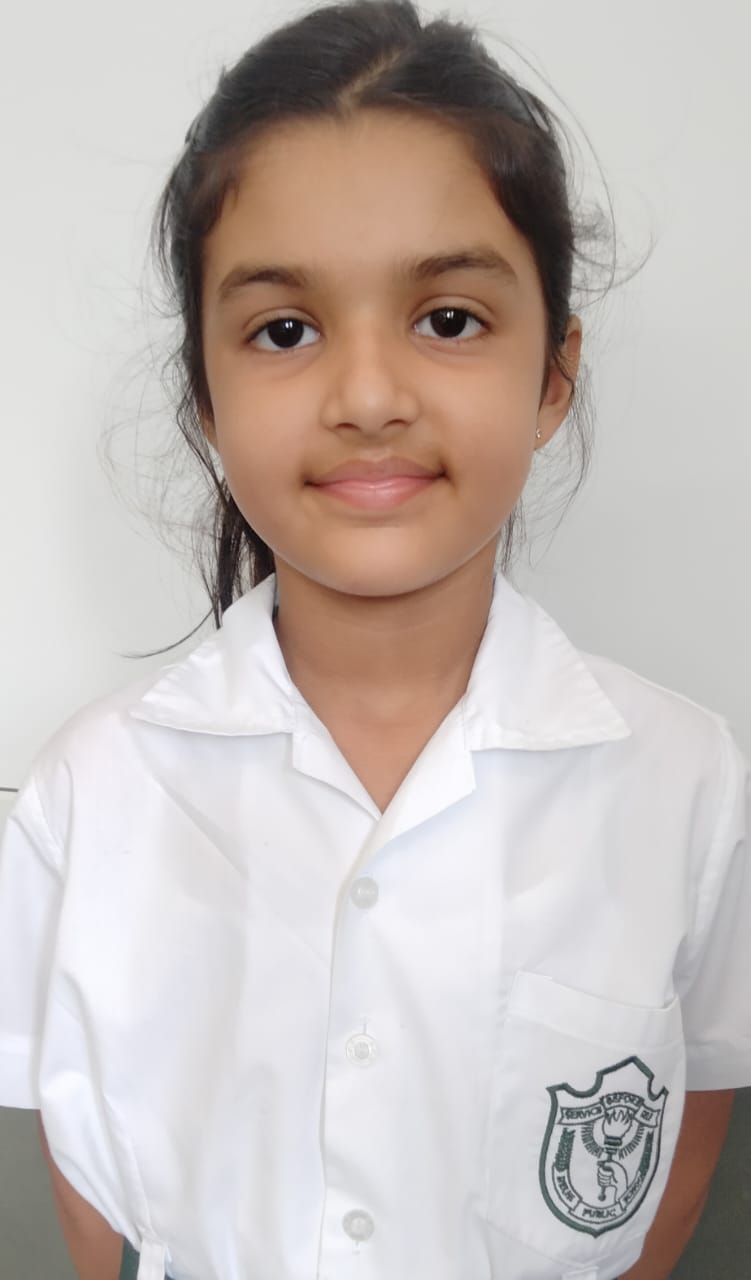 Delhi Public School Anand