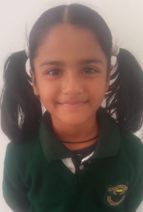Delhi Public School Anand