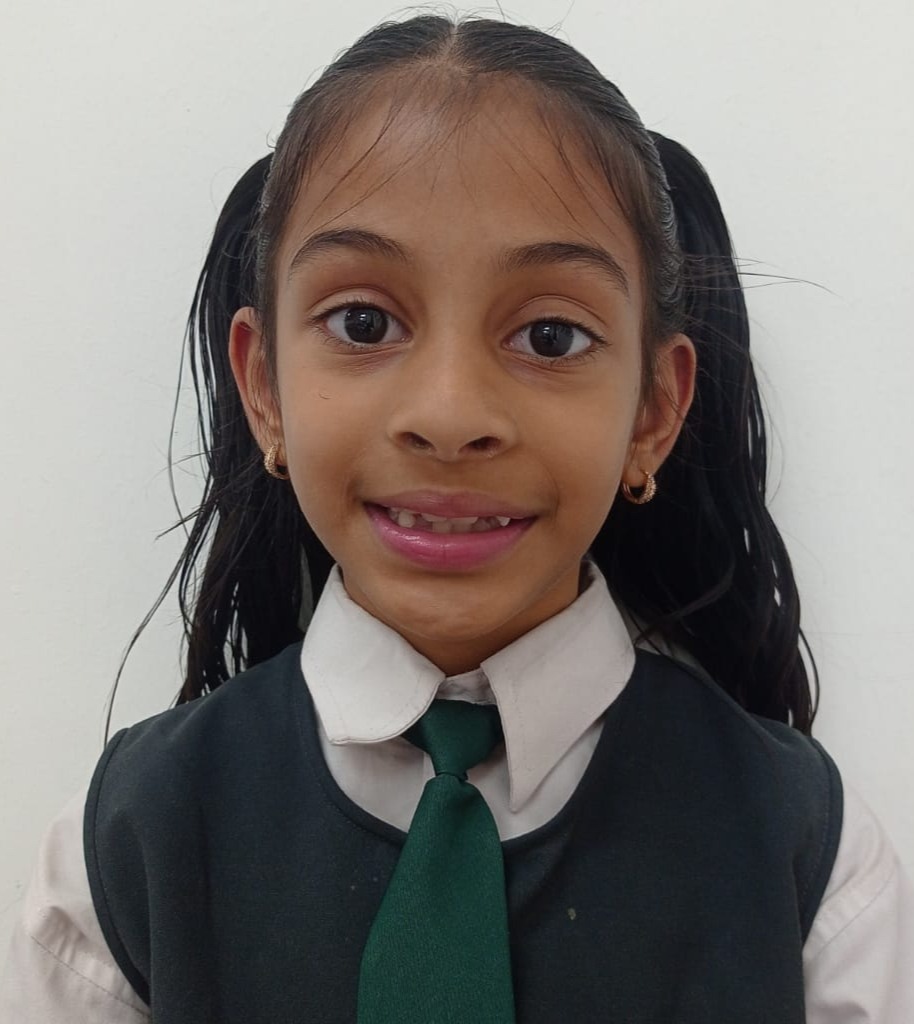 Delhi Public School Anand