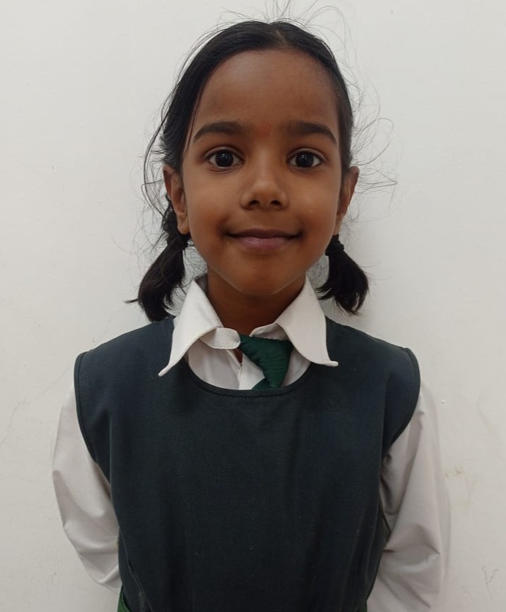 Delhi Public School Anand