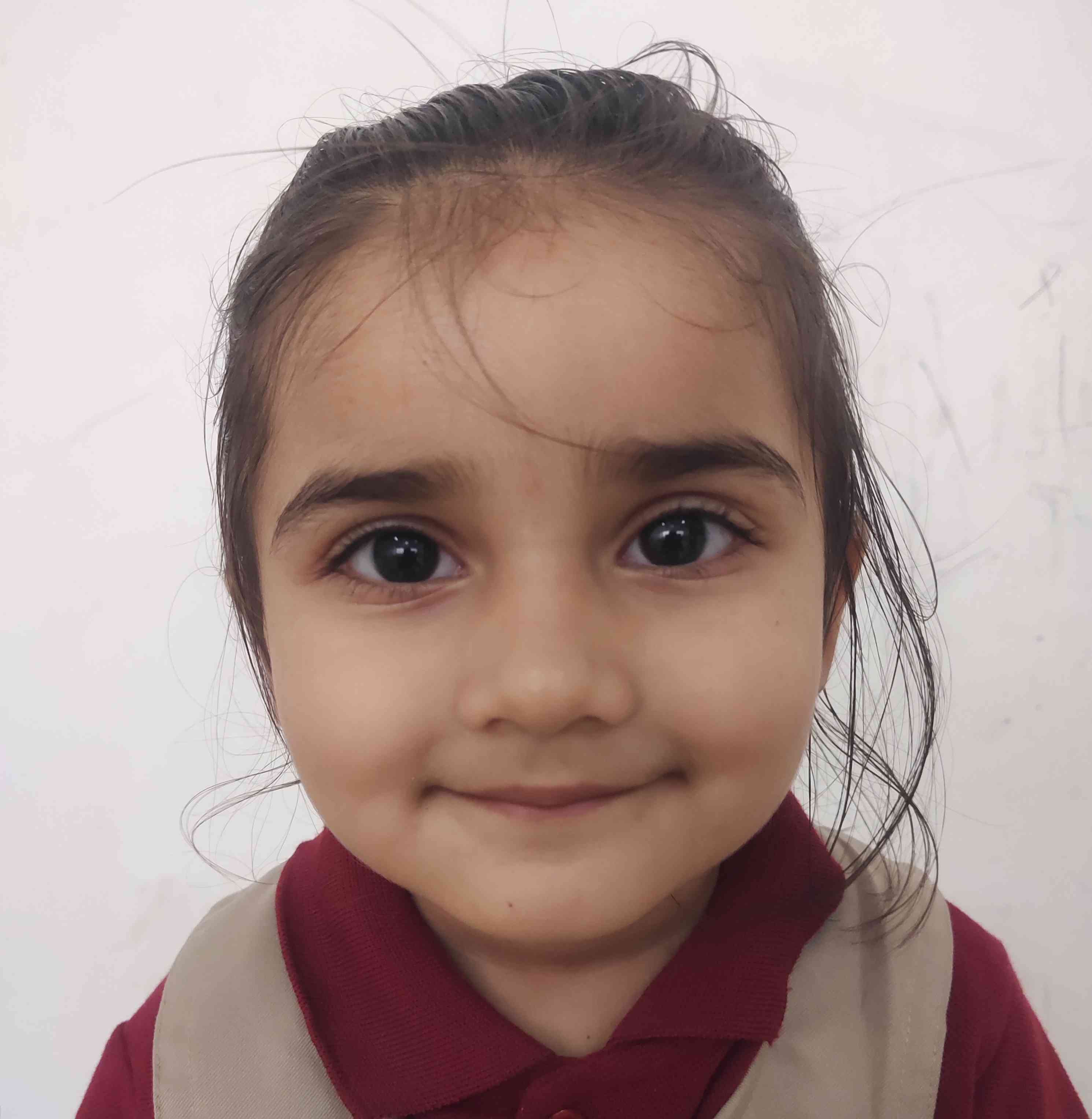 Delhi Public School Anand